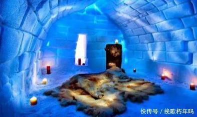 深圳媒体新闻爆料电话,揭秘新闻背后的真相与线索