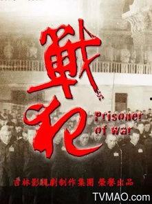 战犯免费完整版观看,揭秘历史罪行的真实面纱