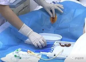 玩尿道 视频,揭秘人体生理与视频互动新体验