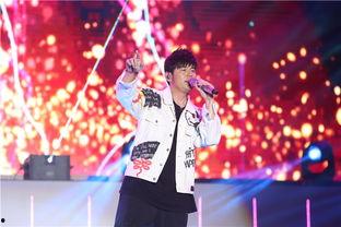 黄石演唱会爆料视频大全