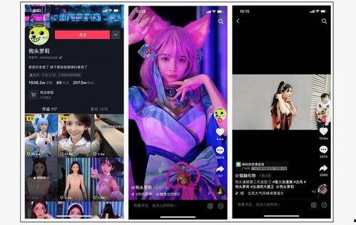 爆料网红真假视频下载,下载背后的真相与争议