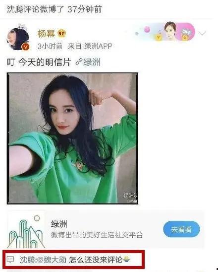 娱乐圈吃瓜小程序是什么,揭秘明星幕后故事，一键掌握娱乐资讯！