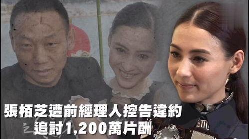 娱乐剪辑吃瓜,吃瓜群众深度解析热门剪辑事件